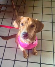 Lashley Animal Hospital image 9
