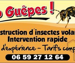 Allo Guepes image 5
