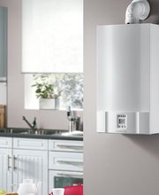 Virton Nicolas image 2