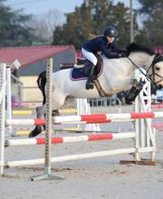 Le Haras De Muralis image 2