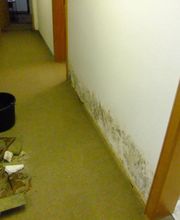 Dipl.-Ing. Klaus Gottschalk - Bausachverständiger Bild 4