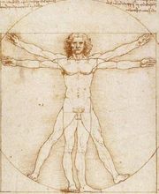 Elisabeth Aurand Moll image 1