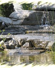 Wick Landschaft GmbH Bild 2