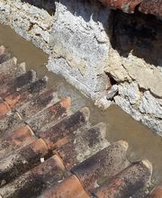 Careme Gregory image 5