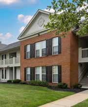 Alexander Court image 7