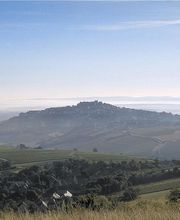 Millet Franck Sarl image 4