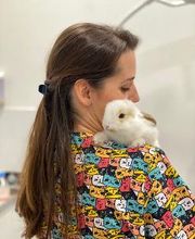 Clínica Veterinaria Okapi imagen 4