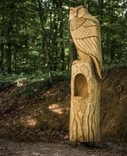 FriedWald Kalletal Bild 5
