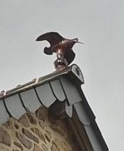 Beaumont Daniel image 3