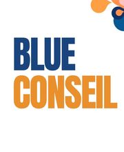 Blue Conseil image 2