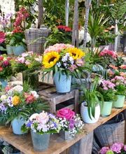 Le Fleur Das Blumencafe Bild 1