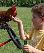 Kinderbauernhof Wigger Bild 5