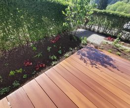 Bison Gartenbau AG Bild 12