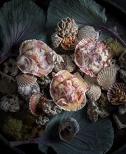 Paperfish Sushi image 2