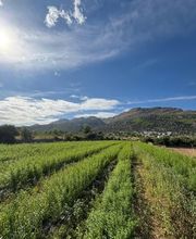 NutraPosuna imagen 5