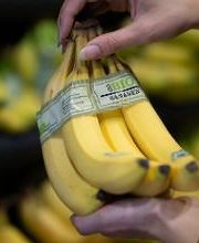 Netto - Günstig. Besser. Für dich. Bild 2