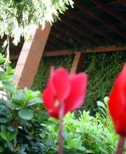 jardin-restaurante-02-g.jpg