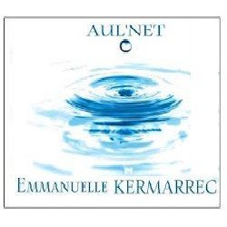 Aul'net