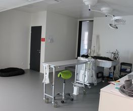 Kleintiermedizinisches Zentrum vet4pet Bild 8