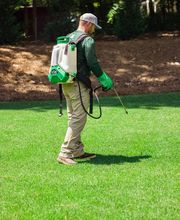 Nature's Turf image 5