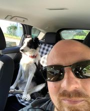 Dollydog Educ image 3