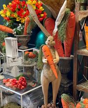 Dekoplus Elgg Bild 5