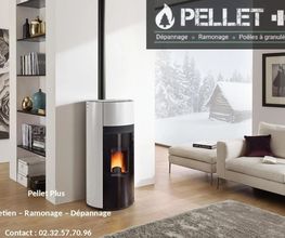 Pellet Plus image 8