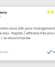 Allo Alex image 19