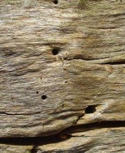 Garbi Aragón imagen 8