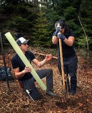 Treebreathe Sàrl Bild 2