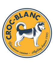 Croc-Blanc image 2