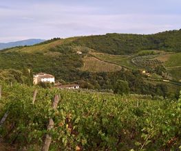 Weinhandel Eder Bild 1