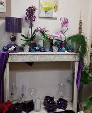 Au Pois De Senteur image 3