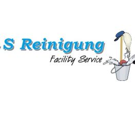 LS-Reinigung Bild 1