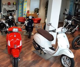 Gallery Cliente