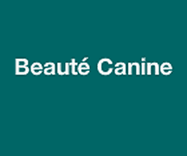 Beaute Canine image 5