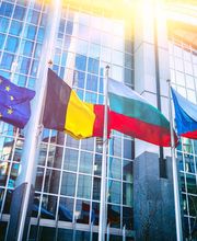 ABC Translation Bild 11