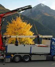 Casty Transporte Bild 7