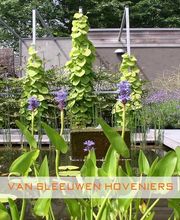 Sleeuwen Hoveniers BV Hoveniersbedrijf van