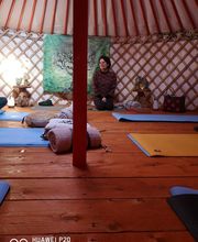 CENTRE SHENYU image 9