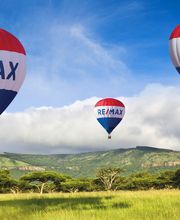 RE/MAX Elite immagine 9