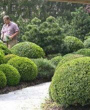 Oesch Fleurs & Jardins SA Bild 4