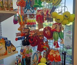 Gallery Cliente
