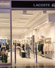 Overall View - Windows (Hero Image)