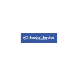 Scuderi Service Impianti Tecnologici ed Elettrici logo