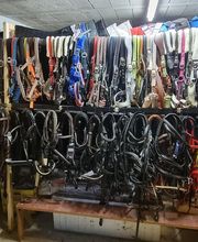 Sellerie Alidada image 3