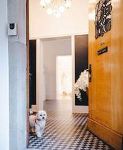 Boutique Zoro Bild 1