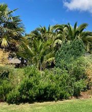 Tregor Coup De Pouce image 9