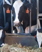 De Saint Denis Ets image 2