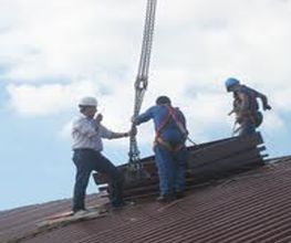 Lr Bat image 12